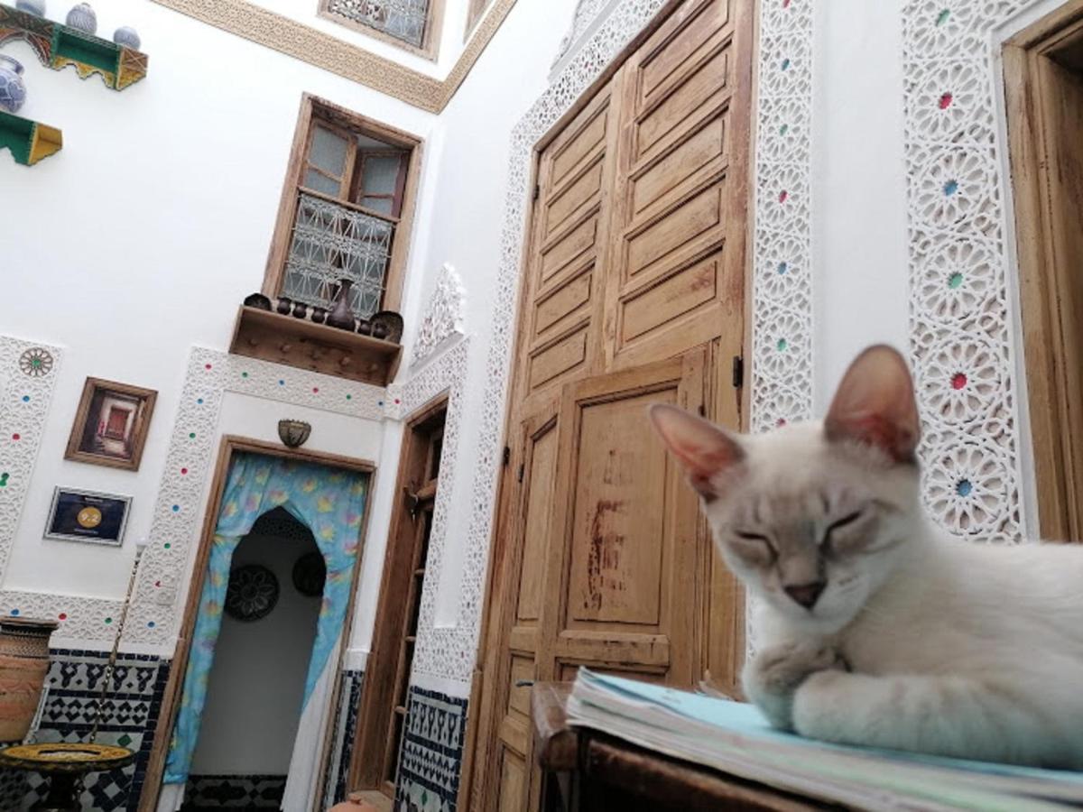 Sendis Dar Pansiyon Fès Dış mekan fotoğraf